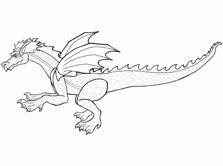 Dragones en dibujos - Imagui