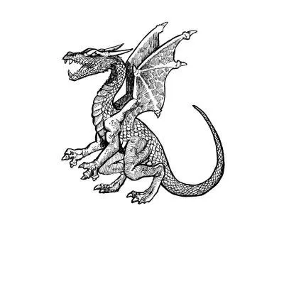 DIBUJOS PARA COLOREAR: DIBUJO PARA PINTAR DE UN DRAGÓN. DIBUJOS PARA COLOREAR: DIBUJO PARA PINTAR DE UN DRAGÓN.