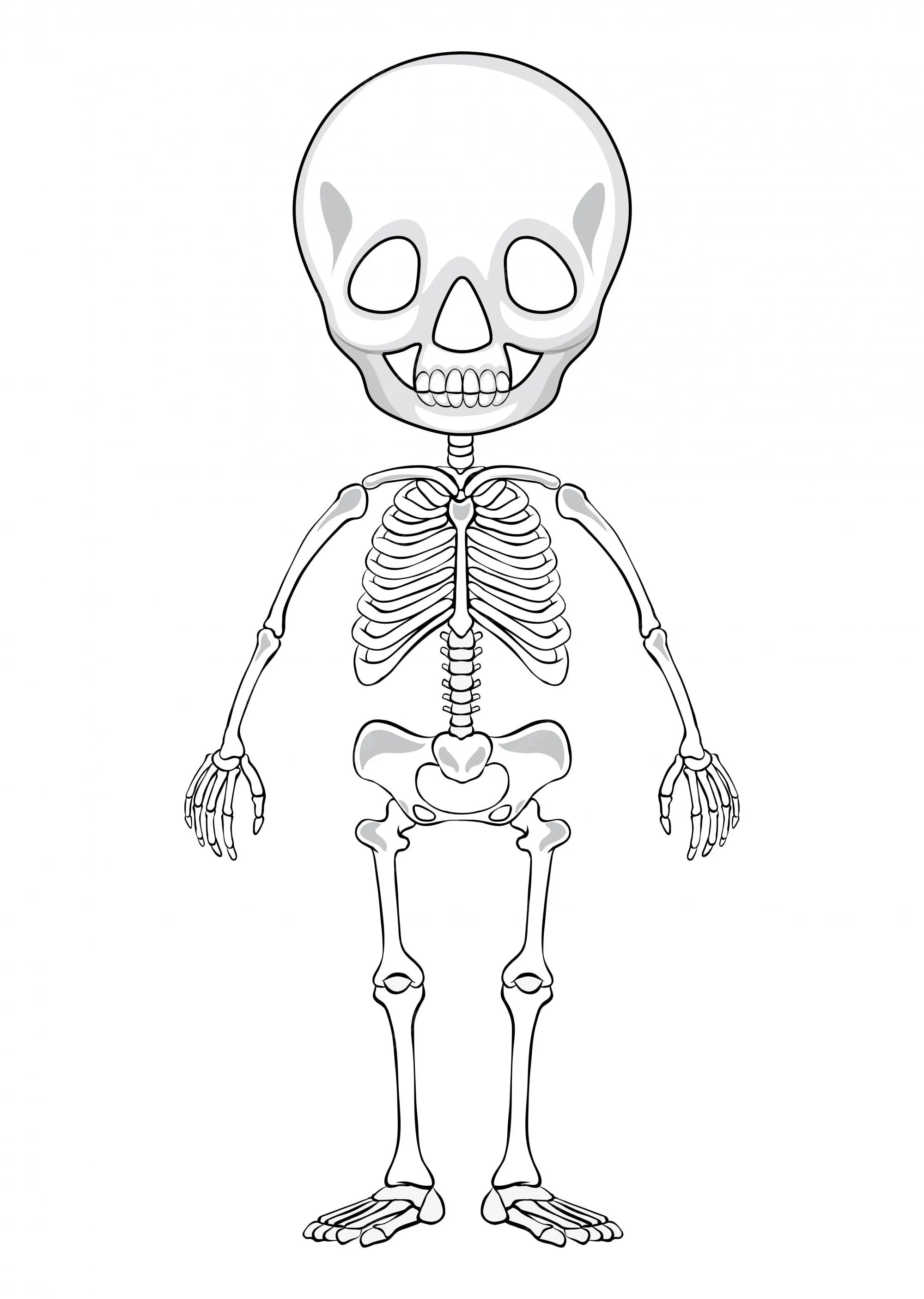 Dibujo esquemático de un esqueleto humano | Vector Gratis