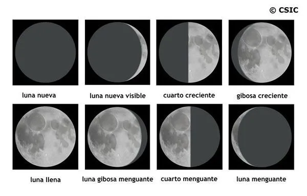 imagenes de las 8 fases lunares para colorear | LA CLASE DE MARIAN ...