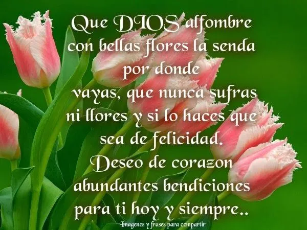 Imagenes con flores y frases bonitas - Imagui Imagenes con flores y frases bonitas - Imagui