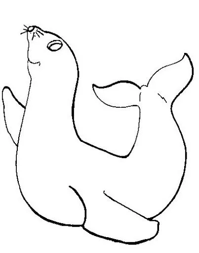 Imagenes de focas para niños - Imagui