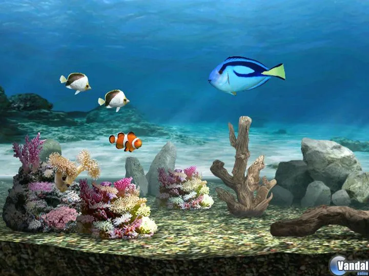 Mi pequeño análisis de My Aquarium - Foro Wii - Vandal