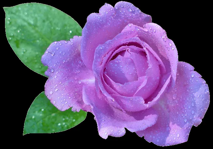 IMÁGENES CON FONDO TRANSPARENTE - Imagenes romanticas de amor para ... IMÁGENES CON FONDO TRANSPARENTE - Imagenes romanticas de amor para ...