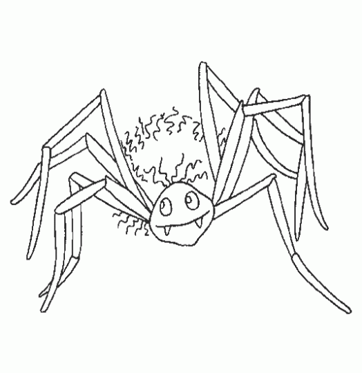 Imagenes y fotos: Arañas de Halloween para Pintar, parte 1
