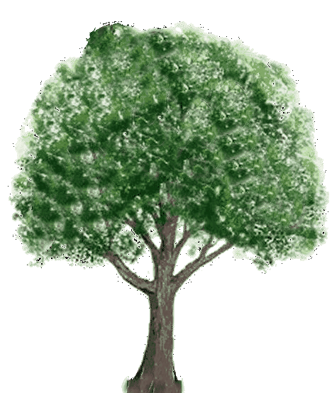 Imagenes y fotos: Gifs Animados de Arboles, parte 1 Imagenes y fotos: Gifs Animados de Arboles, parte 1