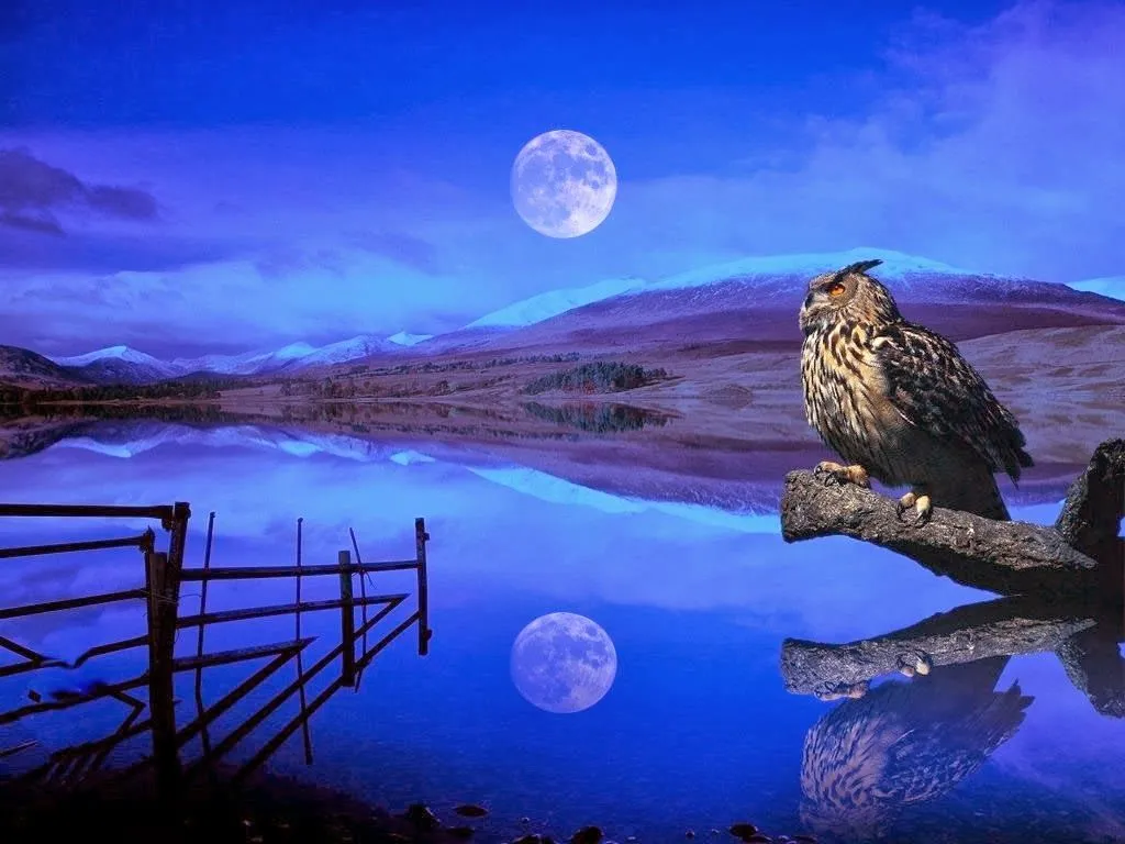 Imagenes y fotos: Paisajes Naturales Nocturnos, parte 2 Imagenes y fotos: Paisajes Naturales Nocturnos, parte 2