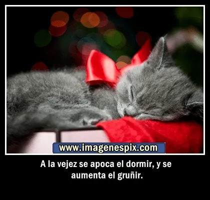 Imagenes con frases facebook | Imágenes de amor : Imágenes de ... Imagenes con frases facebook | Imágenes de amor : Imágenes de ...