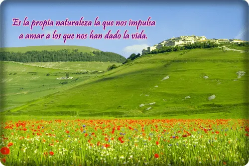 Imágenes con frases a la naturaleza ~ Imagenes de amor con frases ...