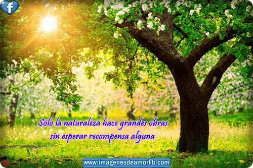 Imágenes con frases a la naturaleza ~ Imagenes de amor con frases ...