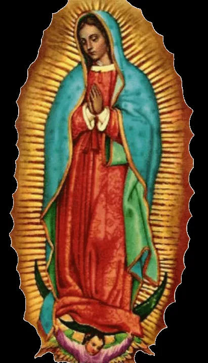 Imágenes, Frases y Reflexiones: Virgen de Guadalupe en png