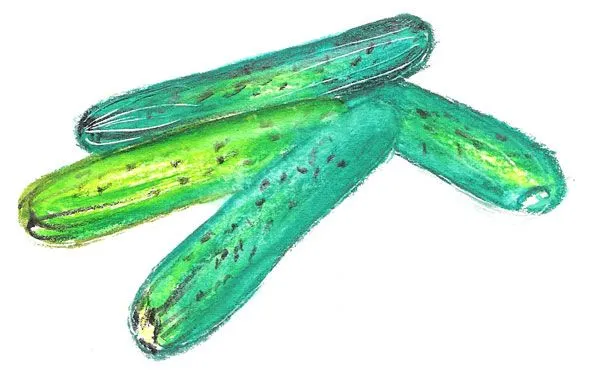 Imagenes de frutas y verduras - Imagenes y dibujos para ... Imagenes de frutas y verduras - Imagenes y dibujos para ...