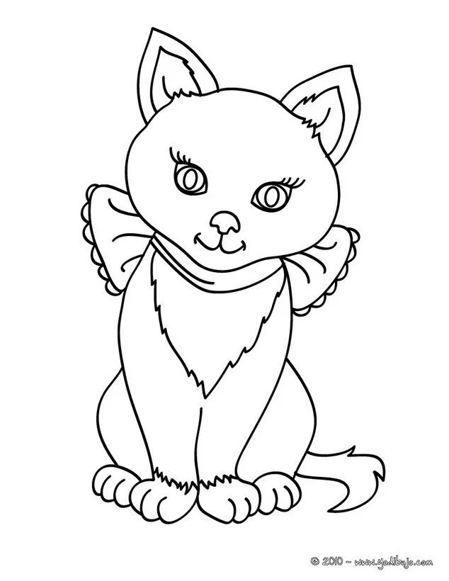  para colorear cachorro de gato Siames - Dibujos para pintar GATOS ...