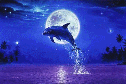 Gif de delfines - Imagui