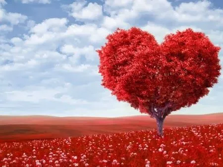 Fondo de Pantalla arbol rojo en forma de corazon | Imágenes Hilandy