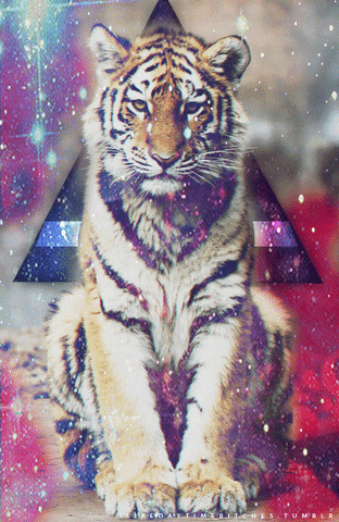 Animales hipster tumblr - Imagui