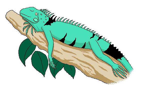 Iguana gif animado - Imagui