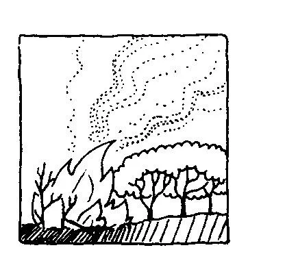 Incendios forestales para dibujar - Imagui