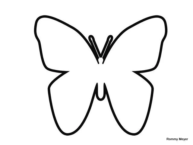 Bordes mariposas en blanco y negro - Imagui