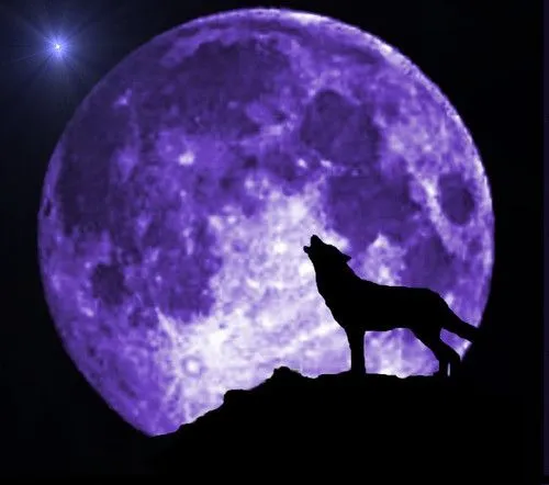 Fotos de lobos aullando a la luna - Imagui