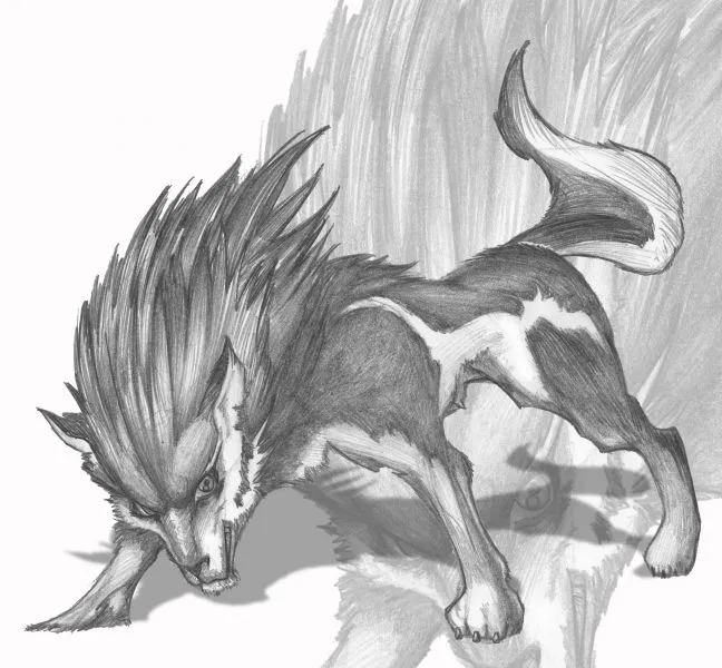 Imagenes de lobos para dibujar - Imagui