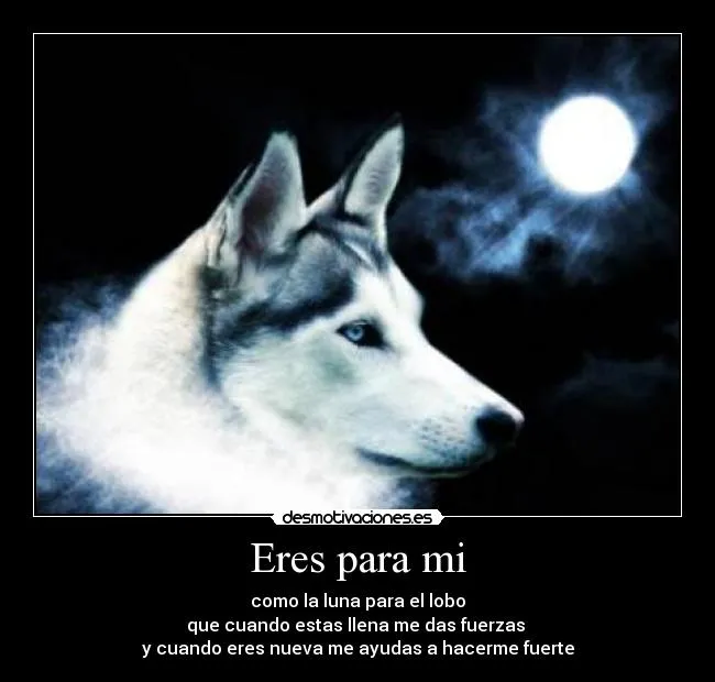 Imagenes de lobos con luna llena - Imagui