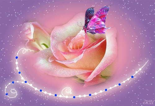 Rosas rosadas y mariposas - Imagui