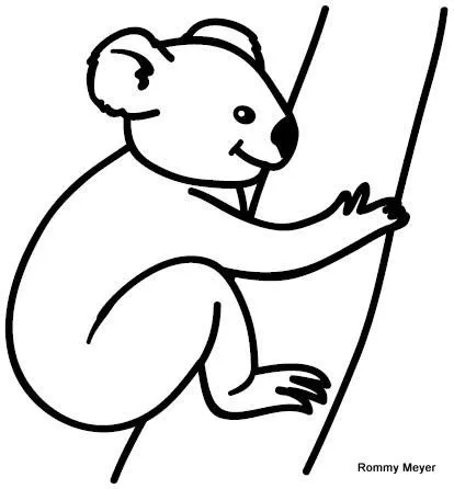 Dibujos de koalas para niños - Imagui