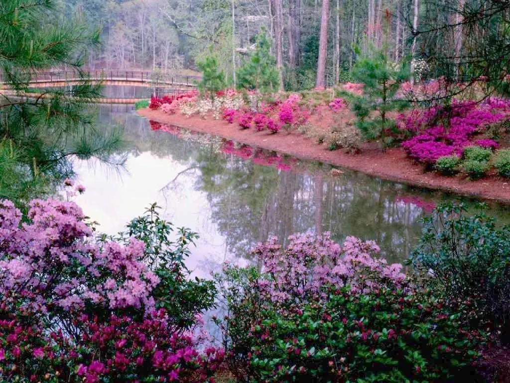 Ver imagenes de paisajes: imagenes de paisajes de primavera Ver imagenes de paisajes: imagenes de paisajes de primavera
