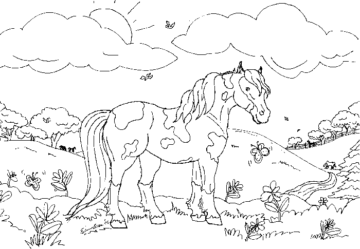 Dibujos de caballos reales para colorear - Imagui