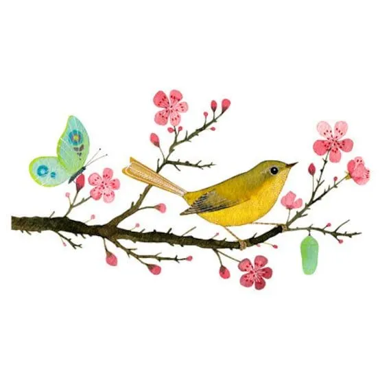 CASAS, COSAS Y DEMÁS...: Pájaros y flores...