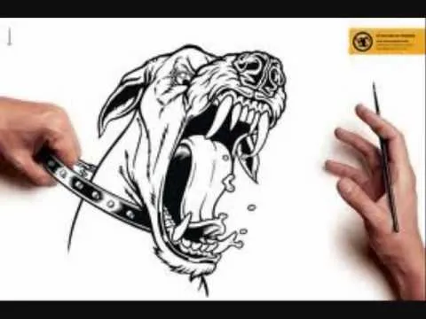 Imagenes de perros pitbull para dibujar a lapiz - Imagui