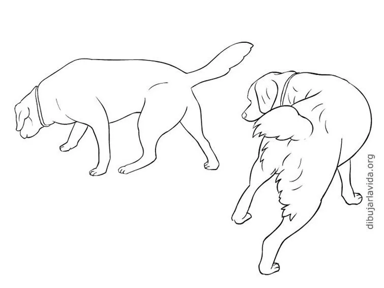 Dibujar la vida | Modelos simplificados de dibujo para copiar ... Dibujar la vida | Modelos simplificados de dibujo para copiar ...
