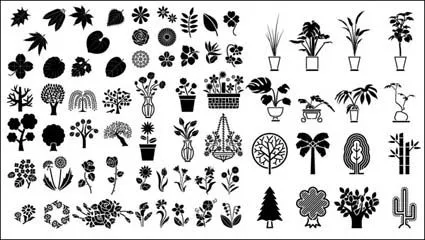 Imágenes de planta ornamentale para pintar - Imagui