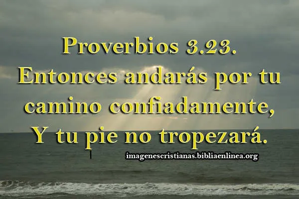 Imagenes con Proverbios Archives - Página 12 de 14 - Imagenes ...