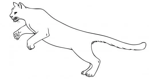 Dibujos de un puma para colorear - Imagui