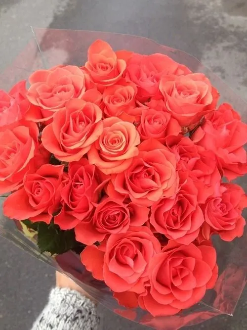 Ramo de rosas gigante tumblr - Imagui