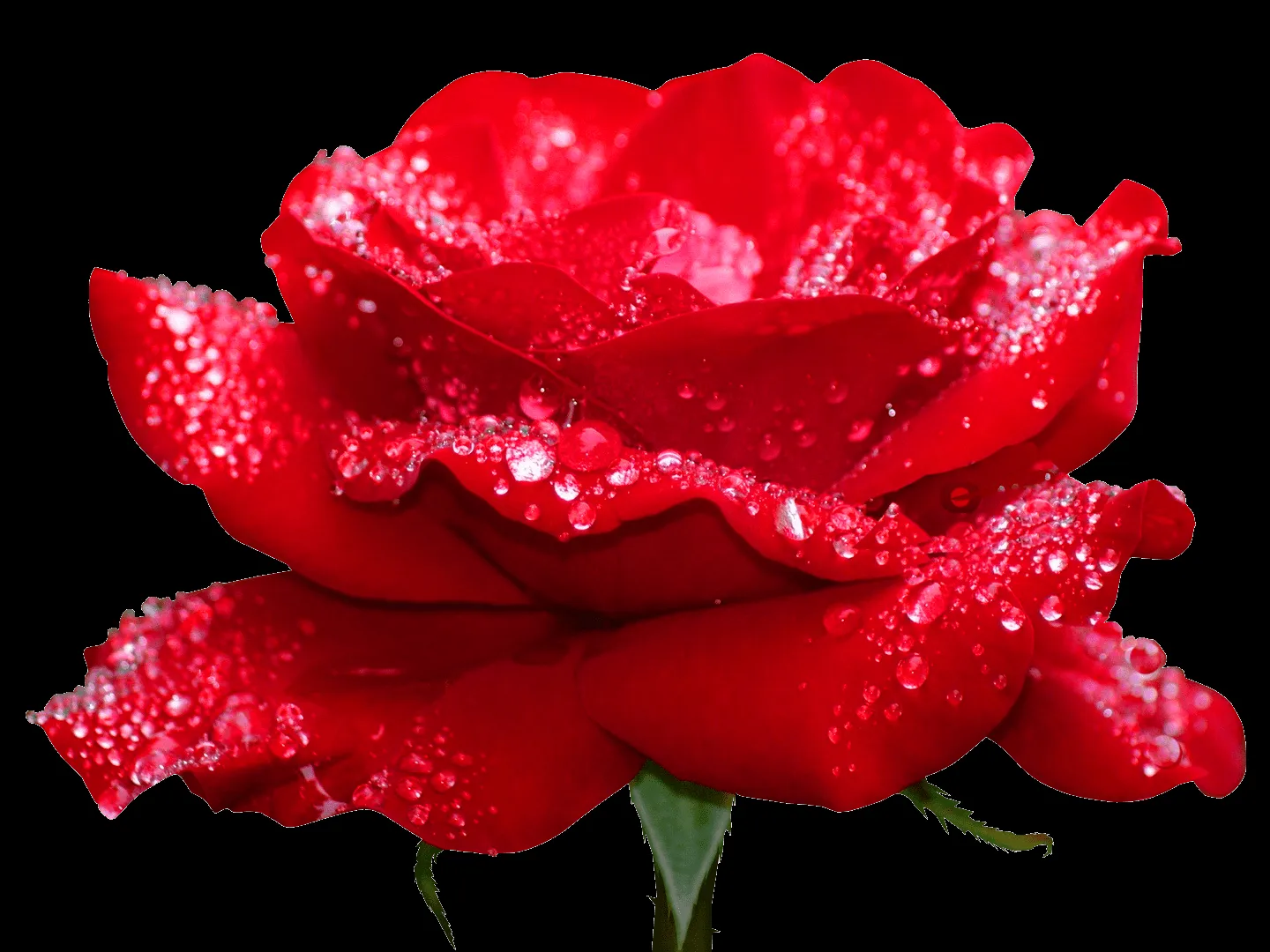 Imagenes romanticas de amor para facebook | imagenes gifs | Frases ... Imagenes romanticas de amor para facebook | imagenes gifs | Frases ...