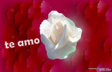 ... tierna de Rosa en movimiento imagenes tiernas de amor con movimiento ... tierna de Rosa en movimiento imagenes tiernas de amor con movimiento