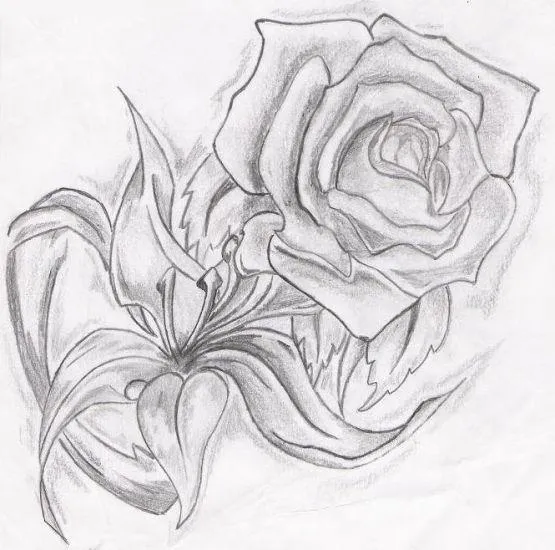 Imagenes de rosas goticas para dibujar - Imagui