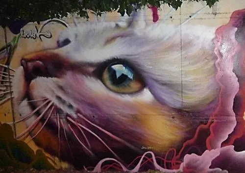 Graffiti mural de Gato en Mataro Berok Graffiti - Artelista.com