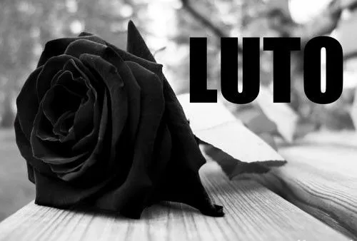 Imágenes de rosas negras y lazos negros de luto para descargar ... Imágenes de rosas negras y lazos negros de luto para descargar ...