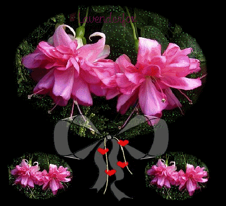 Imagenes de rosas rosa animadas - Imagui