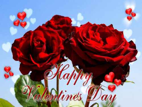 Imagenes de Rosas para San Valentín | Mi amor... Te amo !