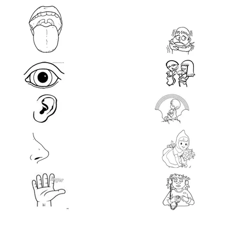 Dibujos para colorear de los cinco sentidos para niños - Imagui