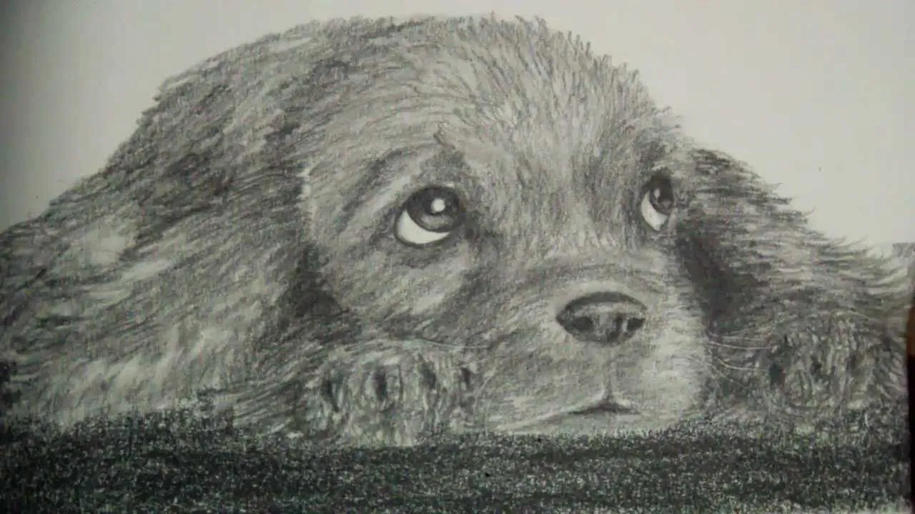Imagenes Tiernas: Imagenes tiernas para dibujar a lapiz Imagenes Tiernas: Imagenes tiernas para dibujar a lapiz