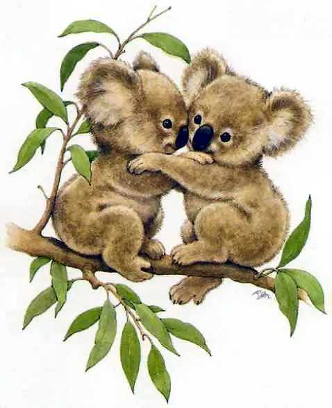 Koalas tiernos bebés | imagenes tiernas de koalas