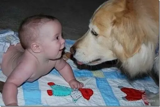 Imagenes tiernas de perros con bebés y niños | Blog de imágenes