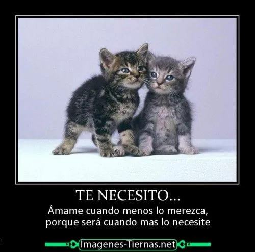Imágenes tiernas para decir “Te necesito” | Imagenes Tiernas ... Imágenes tiernas para decir “Te necesito” | Imagenes Tiernas ...