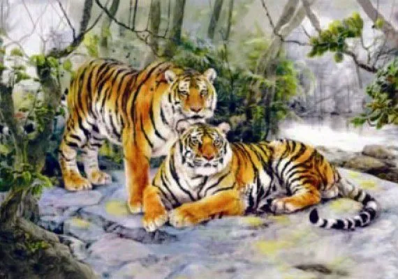 Imagenes de tigre en 3D - Imagui